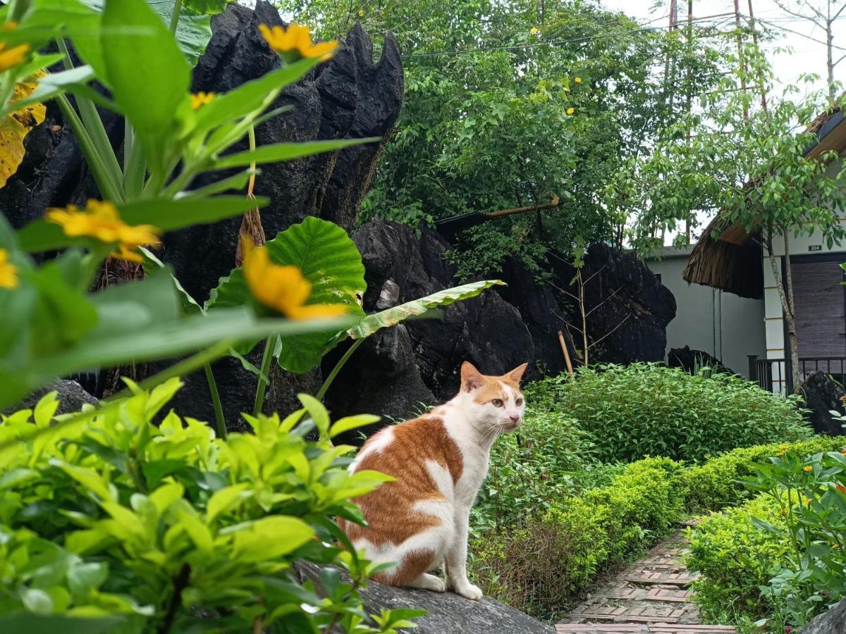 Wings Ha Giang Loop Bungalow Kültér fotó